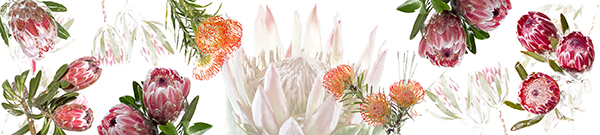 protea-table-runner-002